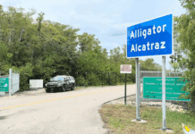 Consulado de Guatemala en Miami confirma presencia de 249 connacionales detenidos en centro migratorio de “Alligator Alcatraz”