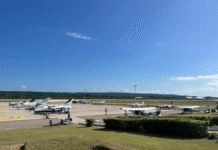 DGAC implementa plan para reubicar fauna silvestre en el Aeródromo Mundo Maya, Petén