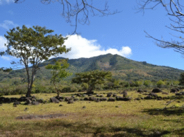 INAB refuerza compromiso con la conservación y manejo sostenible del bosque seco en Guatemala