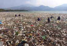 Lluvias arrastran más de 2,400 m³ de desechos al Lago de Amatitlán y activan respuesta de emergencia