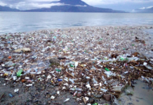 🌊♻️🇬🇹 MARN y municipalidades impulsan acciones para reducir la contaminación en el lago de Atitlán